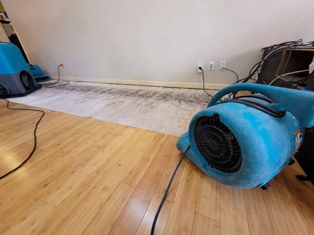 Professional Basement Flood Cleanup technician working in Peridot, AZ